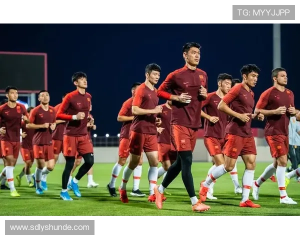 杭州网球队在世界杯中的比赛经验与表现分析